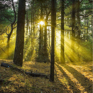 爆乳XXXX喷水XXXX
